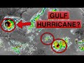 Another Hurricane Forming in the Gulf?