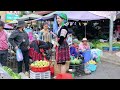 Harvesting tomatoes from the garden to sell at the market - gardening - everyday life - Bếp Trên Bản
