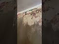 Ремонт#покраска потолка#какпобелитьпотолок#🤣#квартира#недорого#кошка#cats#cat#