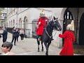 Never seen 2 King's Guards Reprimand a Tourist as Horse Goes Wild at Horse Guards in London
