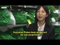 Why it's almost impossible to lose things in Japan - BBC REEL