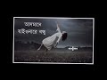 আসমানে_যাইওনারে_বন্ধু  | Asmane_Jaiona_Re_Bondhu  | Pagol_Hasan | Slowed_reverb