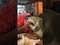 Shark puppet: Bruce eating at BigCup￼