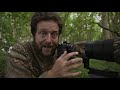 THIS IS WHY I DO WILDLIFE PHOTOGRAPHY - Badgers Ep3 | woodland photography, camouflage, nikon z6