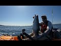 KAYAK Fishing the 2023 EDMONDS COHO DERBY--Self-Disqualified Over Leader Length Error!!!!