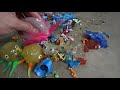 Octopus Family Shredded! Sharks and Squishy Things Destroyed! What's Inside Slime Animals!