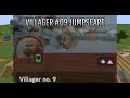 Villager No. 9 jumpscare