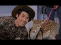Eugene Gets Surprised By A Baby Deer 🦌