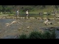 A walk to the top of Thorpe Cloud and across the Dovedale Stepping Stones