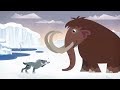 Leo and Tig - The Snake Charmer (Episode 45) 🦁 Cartoon for kids Kedoo Toons TV
