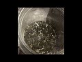 How to Make RSO (Rick Simpson Oil) AKA Phoenix Tears!!