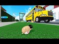 SIMULATEUR DE HAMSTER DANS ROBLOX