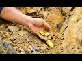 Oh can't believe my eyes ! gold miner found a lot of gold treasure under stone million years