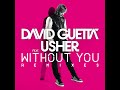 Without You (feat. Usher) (Radio Edit)