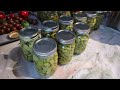 Canning Snap Beans - All American 921