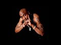 [FREE] 2pac Type Beat 2024 “A Thugz Passion”