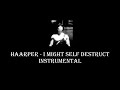 HAARPER - I MIGHT SELF DESTRUCT (Instrumental)
