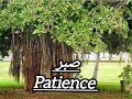 Roody Kausar /Patience/ #sufikalam #ishq #punjabi #books #divineguidance #patience