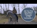 Horse Behavior and Body Language 🐴