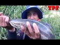 Lure fishing video—Pull a giant snake in a perennial lake @ TRUNG PLEIKU FISHING