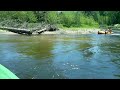 Sturgeon River Kayak Adventure to Burt Lake | Wolverine, MI