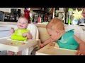 Best Videos of Cute and Funny Twin Babies | way-out