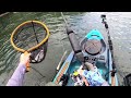 Whopper Ploppers and Chatterbaits - big smallmouth and trout on the Holston River