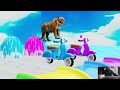 Long Slide Game With Elephant Gorilla Buffalo Hippopotamus Tiger - 3d Animal Game - Funny 3d Animals