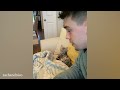 Anywhere with you is Home - Cute moments cat and human