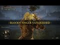 Killing invaders in Elden Ring with Coakie