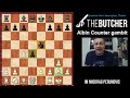 How to Easily Defeat The Albin Counter Gambit!!