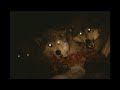 What in the World is a Dogman? - Part 25 - STRANGE COINCIDENCES AND FACTS