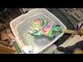 How to Swirl a Strat guitar body with magic marble paints dipping Swirling