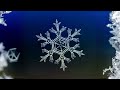 How Do Snowflakes Form?