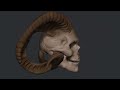 how to sculpt a skull in zbrush