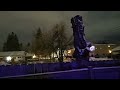 Nighttime Dog Play in Winter Town, Idaho