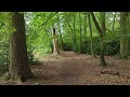 Serenity in Boekesteyn Park 's Gravenland: A Summer Walk, The Netherlands.