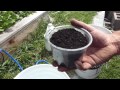 How to Build a 5 gallon Compost Tea Brewer