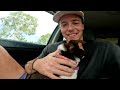 Picking Up MY PUPPY Camping Trip (best day of my life)