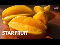50 FRUIT NAMES, Different types of fruits for kids