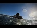 Bodyboarding near perfect surf conditions at Honoli'i Hawaii POV