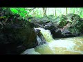 Relaxing River Sounds Waterfall Sounds, for Stress Relief, for Sleep, for Focus, for Meditation