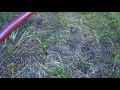 Stabilise test goplus cam 4k action camera 4k test - baby cane toads