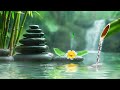 Relaxing Music Relieves Stress and Anxiety🌿 Heals the Mind, Body and Soul 🌿 Relaxing Sleep Music