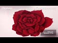 Easy way to paint a rose (voiceover)