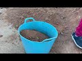 Como REPRODUCIR CIENTOS DE ROSAS en POCOS Días!! 🌹 + Composteras GRATIS Vlog #14 | La Huerta de Ivan