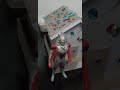 My Nephew's House Coin Bank with My Vinyl Ultraman X and Ultraman Exceed X