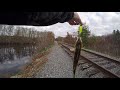 Beautiful Yellow PERCH on a crankbait Nov 2020.