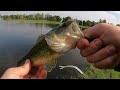 Fluke Fishing For Big Bass In A Small Pond