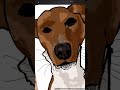 Drawing My Dog As: Himself #drawing #funny #timelapse #basenji #if you see this pls sub hehehe